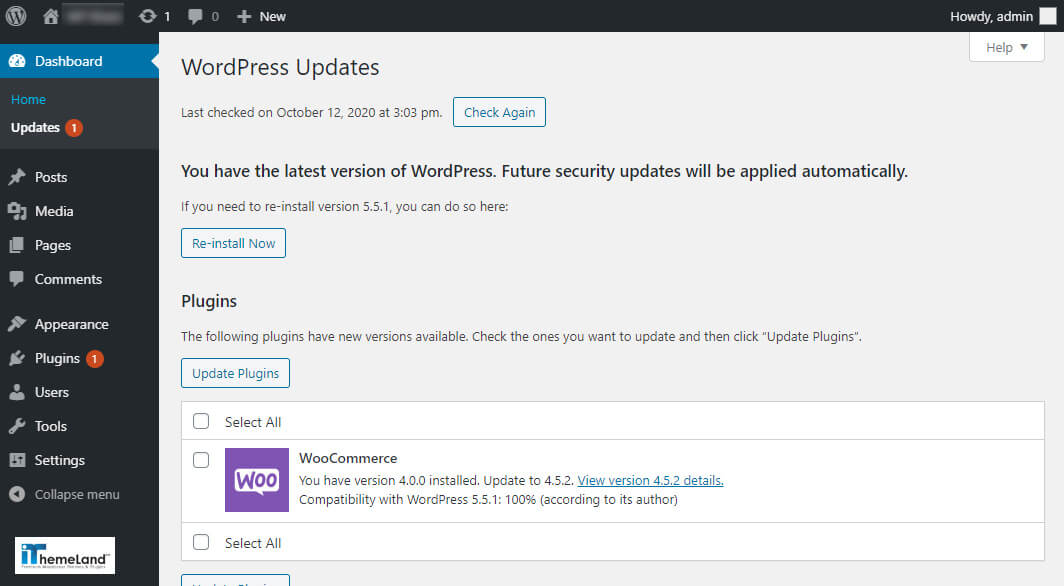 Wordpress update page