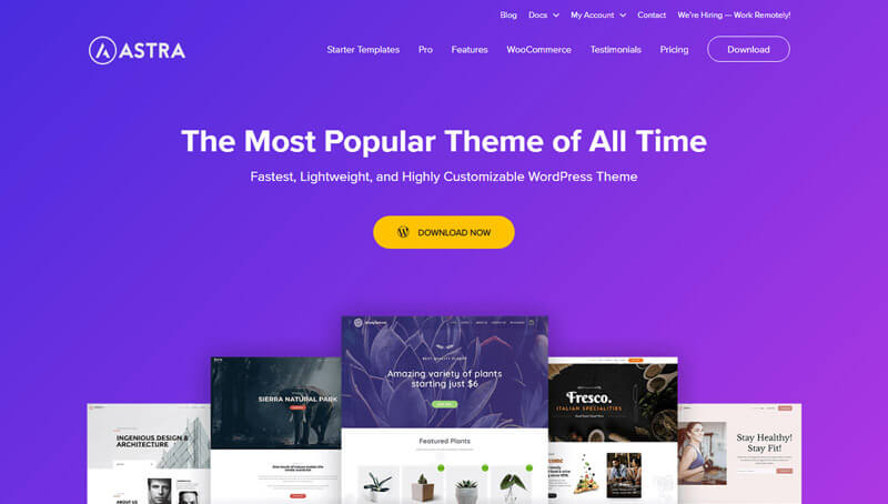 Astra WordPress theme demo page