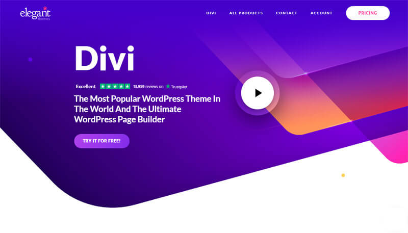 Divi WordPress theme demo page