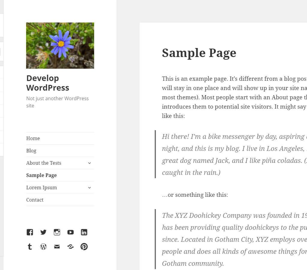 WordPress theme customizer