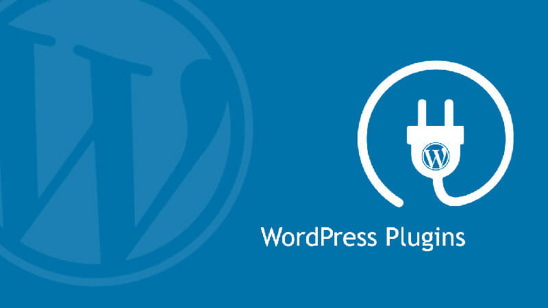 WordPress Plugins help web designers to change om the most essential parts of their websites