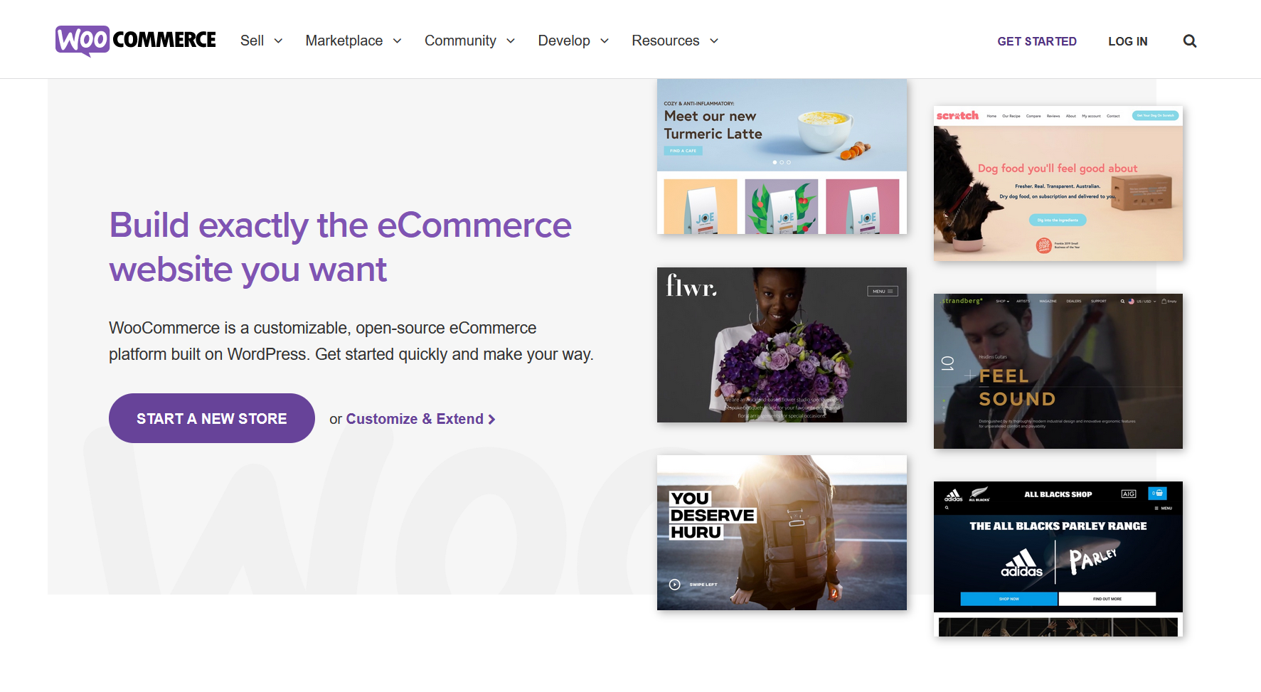 woocommerce plugin to make eCommerce websites