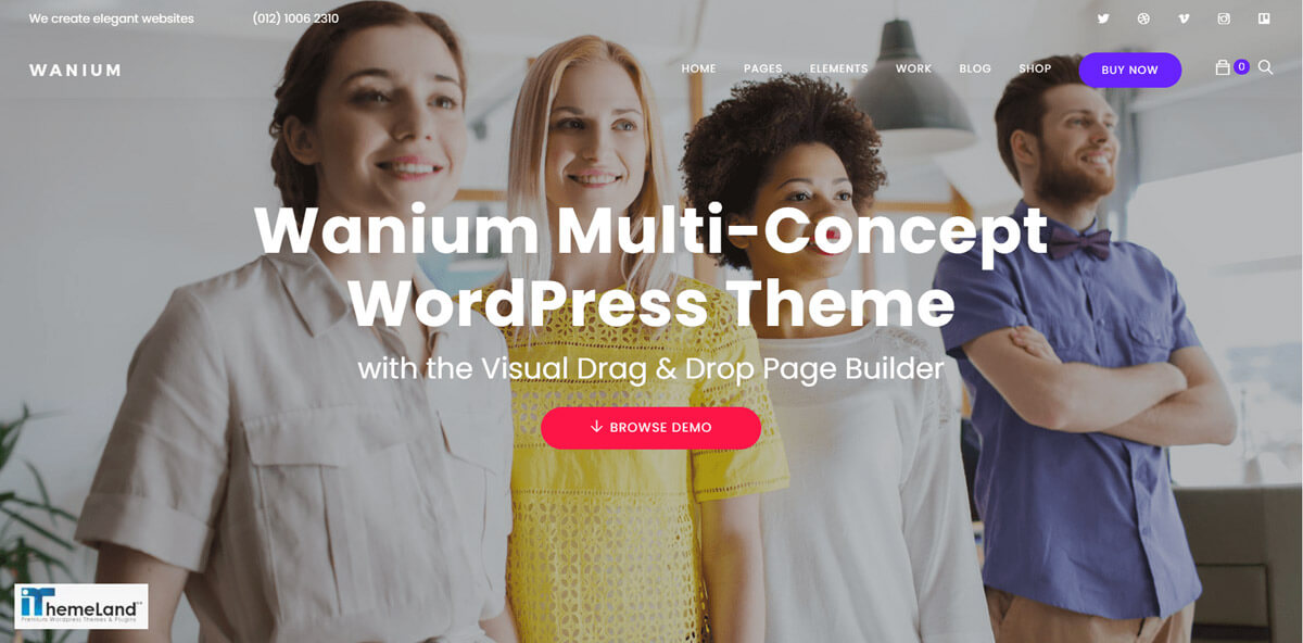 wanium theme support multisite woocommerce