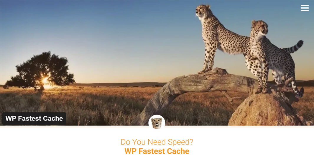 Wp fastest Cache plugin