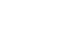 Woothemes brand logo